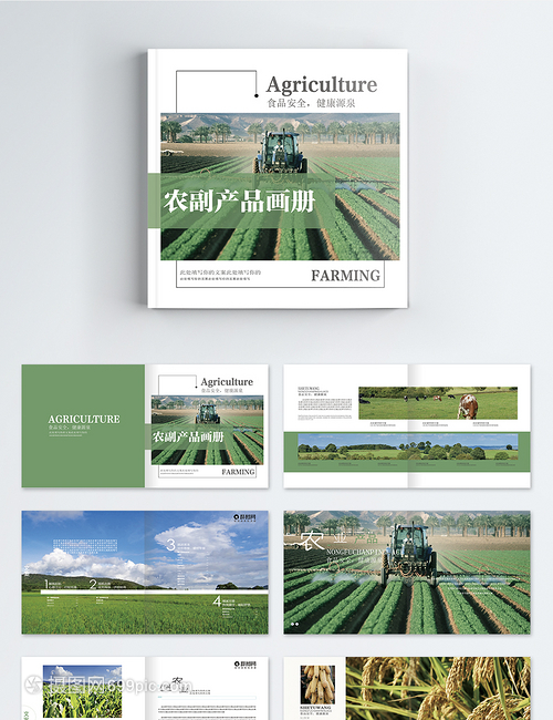 綠色農(nóng)副產(chǎn)品 自然與健康的完美融合