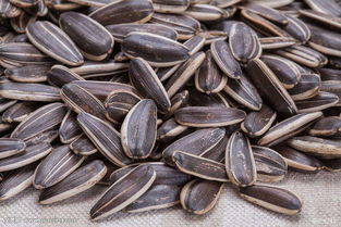 2018蘭溪市第四屆年貨農(nóng)副產(chǎn)品博覽會(huì)盛大開幕