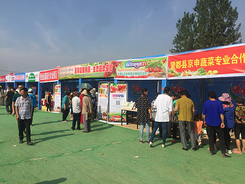 望都2017櫻桃文化旅游節(jié)暨農(nóng)副產(chǎn)品展銷會(huì)拉開帷幕，助力地方特色食品銷售