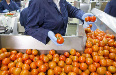 從田間到餐桌 農副食品加工業的內涵、現狀與未來展望